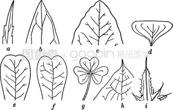 伪术奇才 相关产品