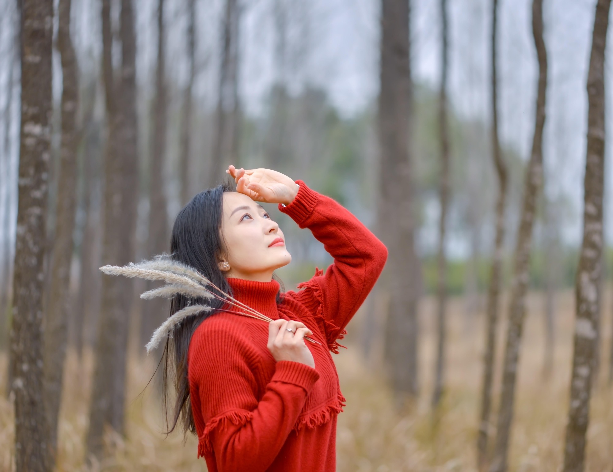 你是最美 相关产品