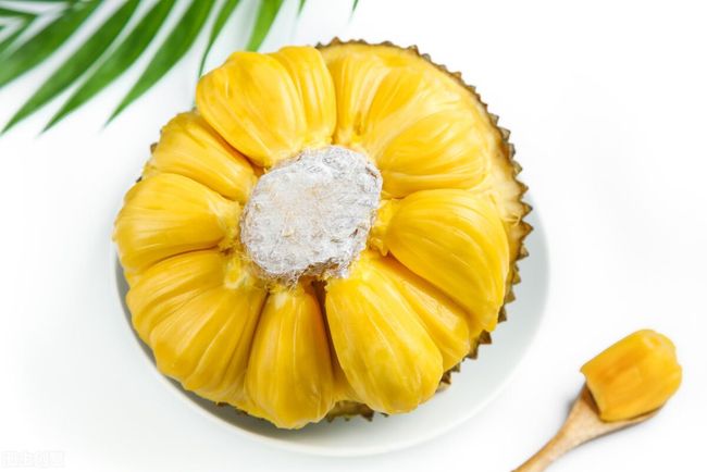 假面病房 相关产品