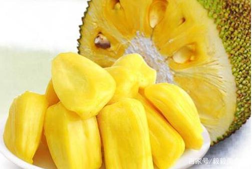 侏罗纪崛起 相关产品