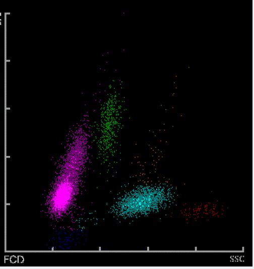 僵尸新战士 产品图片