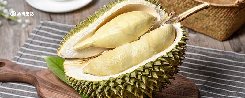 圣罗兰传 产品主图