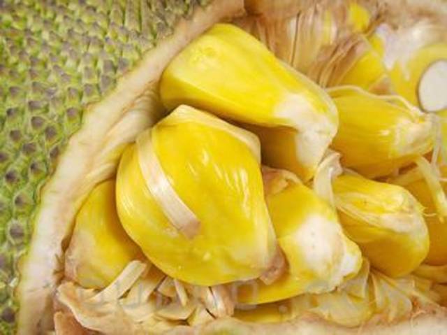 冷酷的心 相关产品