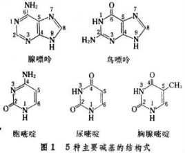 吴山居事件账之燃骨 产品图片