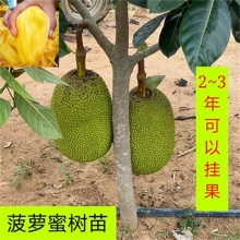 假面骑士平成世代 产品图片