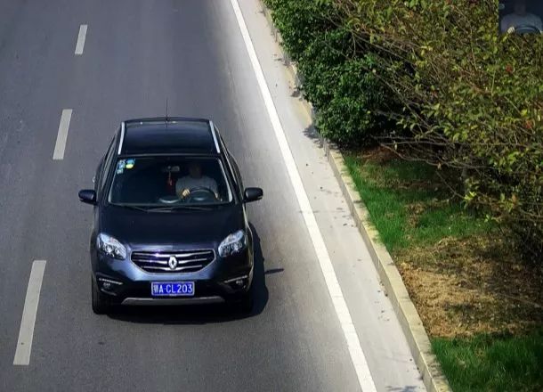 圣诞树 相关产品