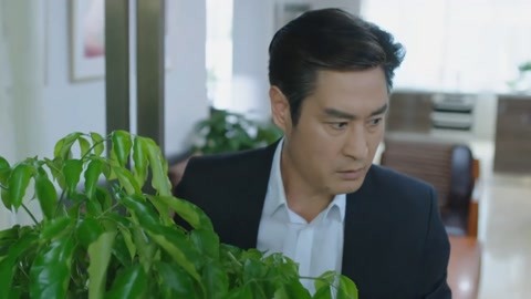 冲破黎明前的黑暗 产品图片