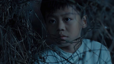 冰川鲨鱼 相关产品