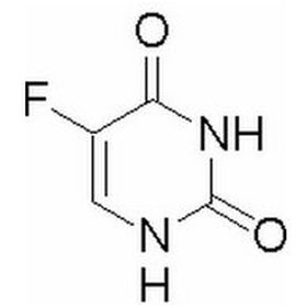 圣母院 推荐产品