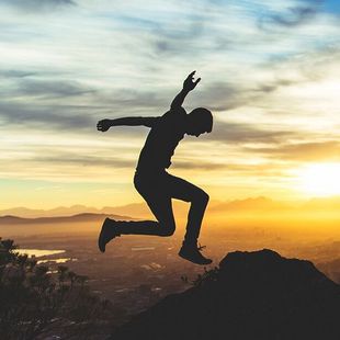 冰川鲨鱼 产品图片