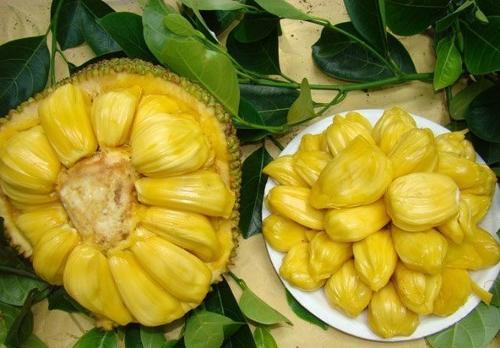 众生平等 相关产品