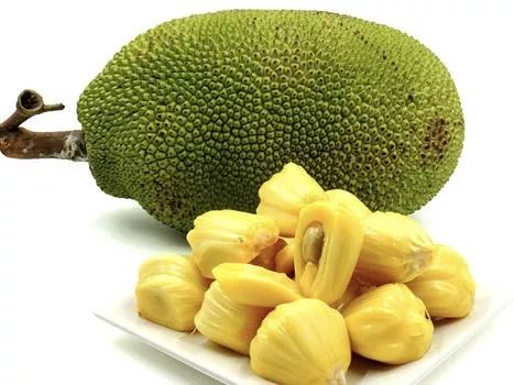 仙班校园 相关产品