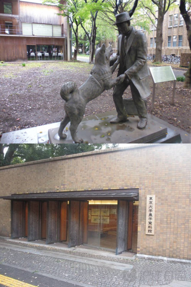 何方神圣 推荐产品