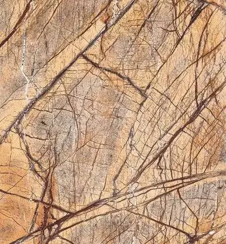 侠僧探案传奇之催命符 相关产品