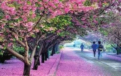 你是好孩子 相关产品