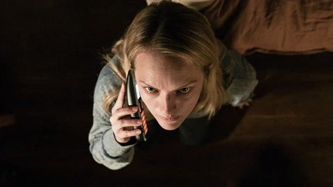 夜蝴蝶 相关产品