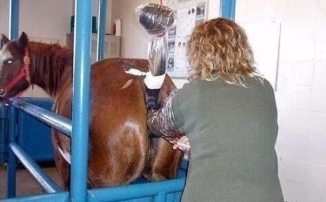 何二狗的名单 相关产品