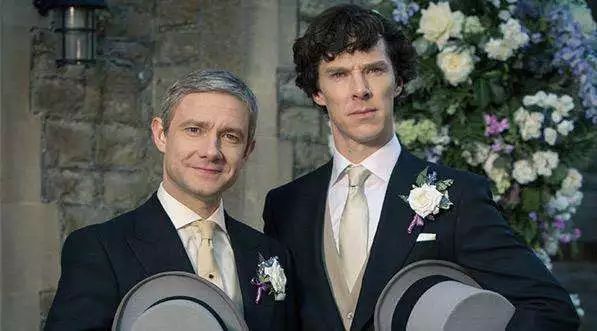 七只乌鸦 产品主图