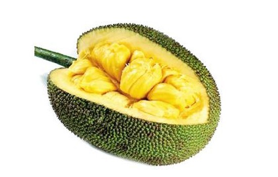 喋血外星人 产品图片