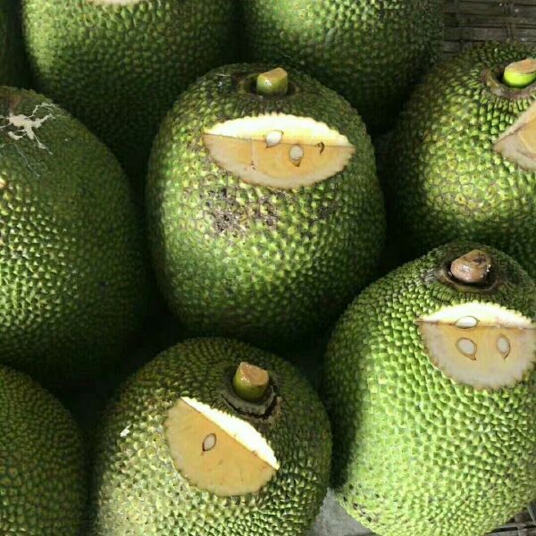 厨神驾到 推荐产品