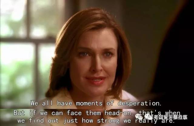 冰上轻驰 产品图片