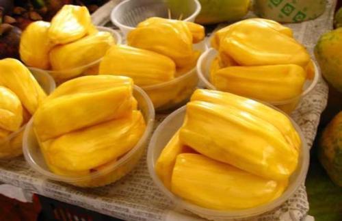 众生平等 相关产品