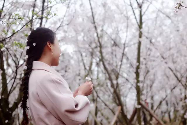 古剑奇谭之厌火之乱 产品图片