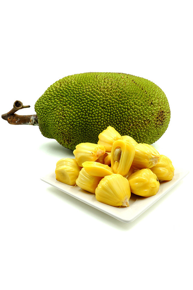 传世乐章 相关产品