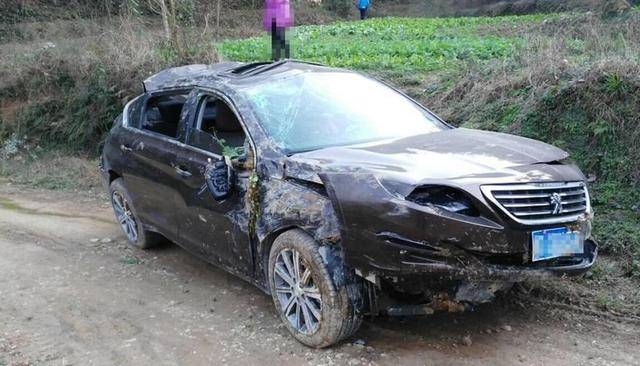 土路都有盐味道 相关产品