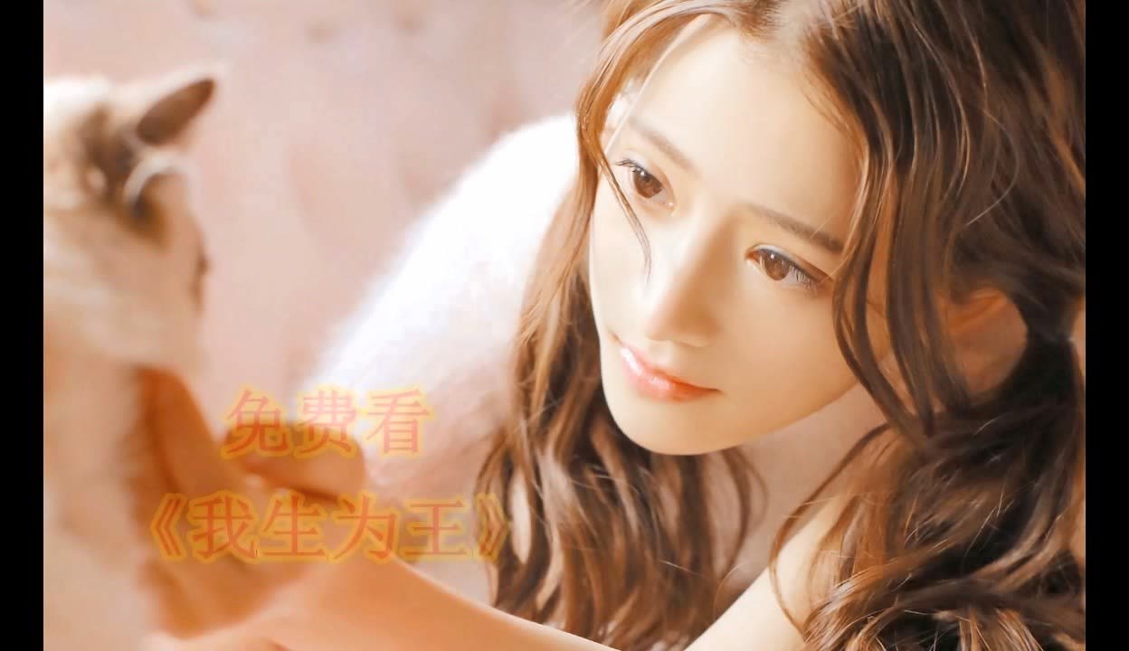 国家要案 产品图片