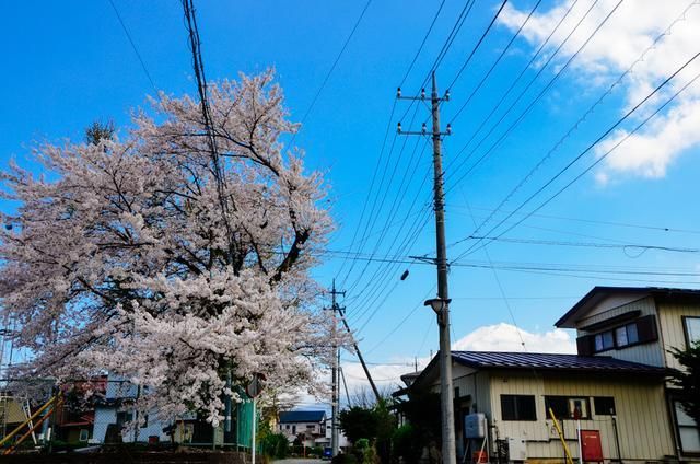 傻瓜天堂 相关产品