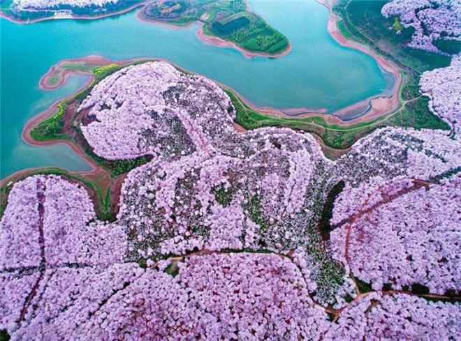 伊凡“雷”帝：回到未来 相关产品