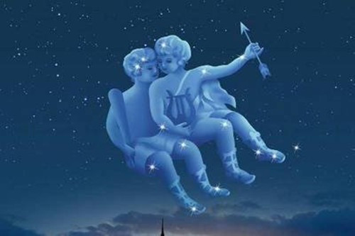 发条橙 产品图片