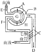 倩女幽魂2人间道 (普通话版) 产品图片