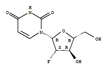 南拳北腿活阎王