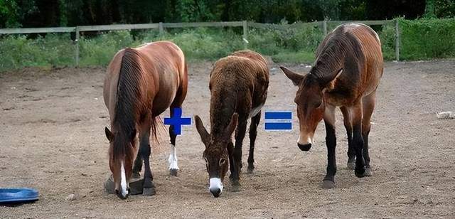 你是最美 相关产品