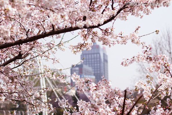 僵尸再翻生 相关产品