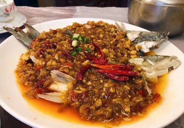 冷冻休眠 产品图片