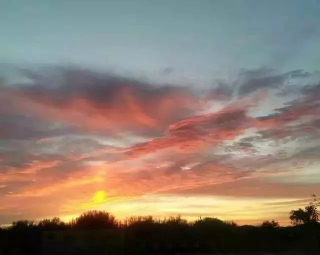 你伤害了我 产品主图