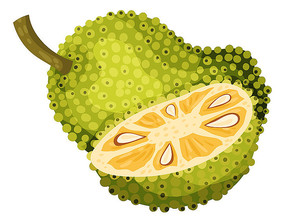 古墓丽影2 产品图片