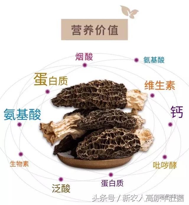 地狱2 相关产品