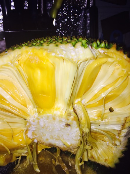 复仇之火 相关产品