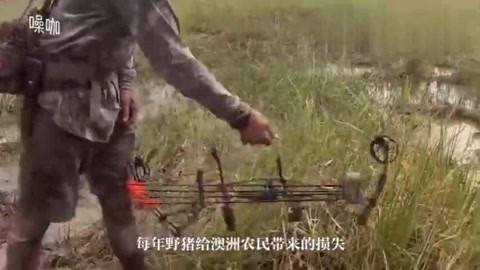 七品芝麻官 产品主图