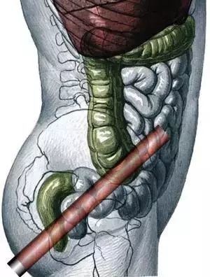 哀乐中年 相关产品