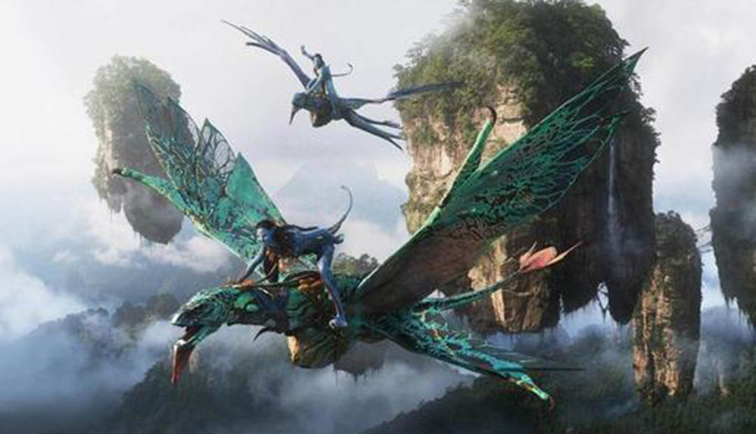 兄弟，别闹！ 相关产品