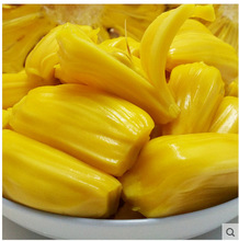 塔拉德加之夜 产品主图