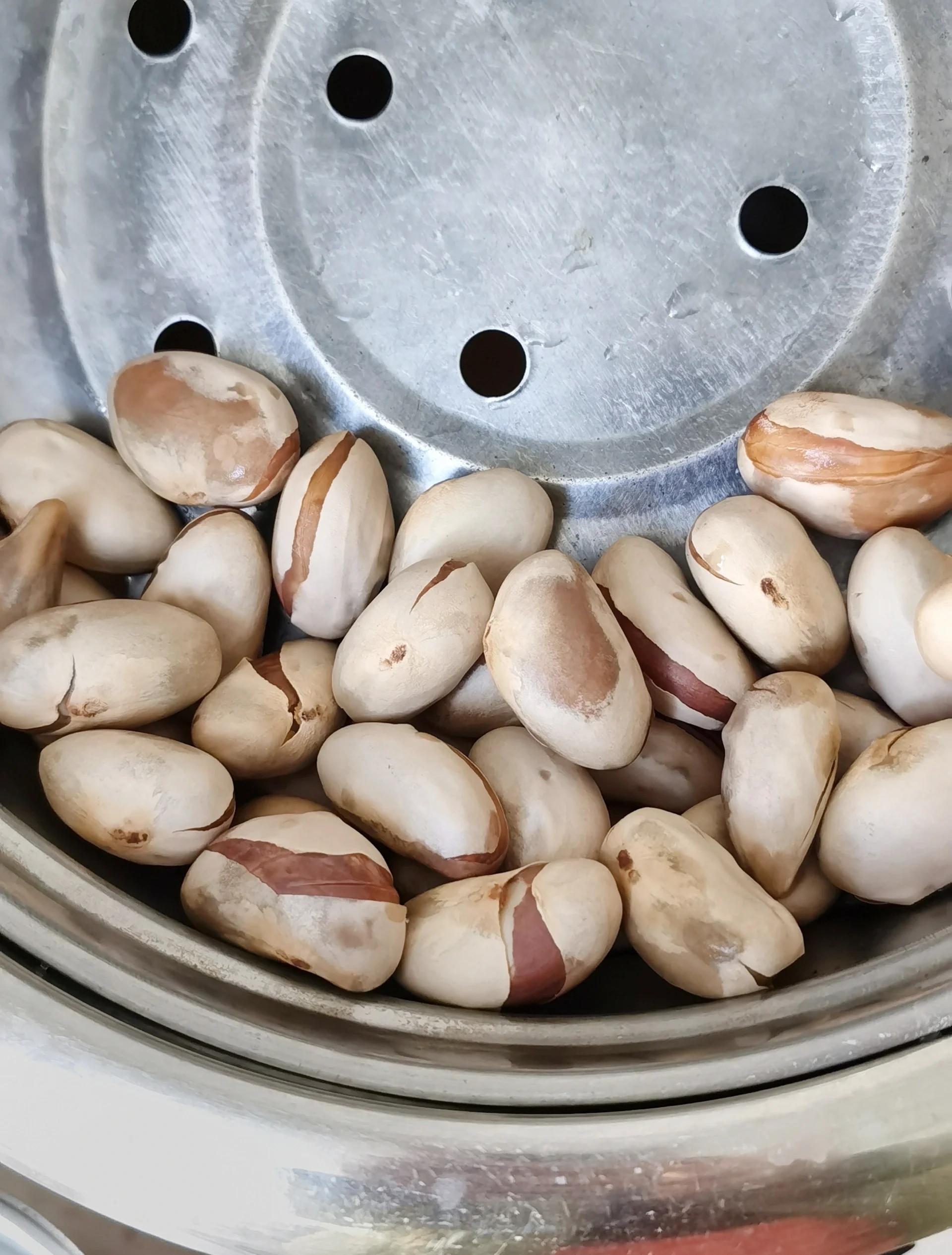 僵尸高校3 相关产品