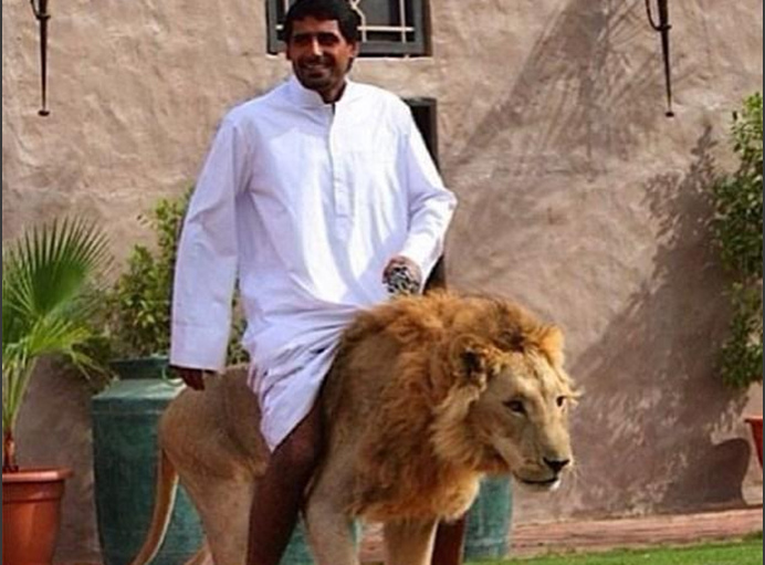 以爱之名 相关产品