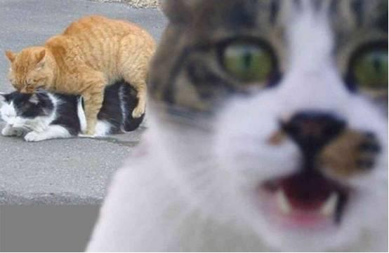 侏罗纪世界：重生 相关产品