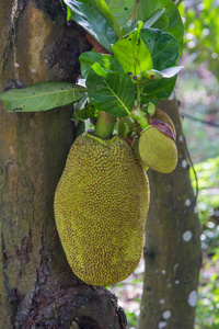 冷冻休眠 相关产品